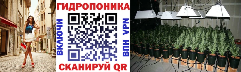 Каннабис ГИДРОПОН  купить наркоту  Алупка 